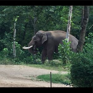 Meet your Posher, Jake